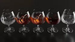 Brandy Snifter 6 3D model