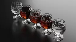 Brandy Snifter 7 3D model