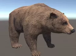 brown bear 3D model
