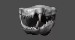Cat Mouth ZBrush Sculpt 3D model