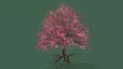 Cherry Tree  3D model
