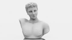 ▷ 3D Male Bust 3d models 【 STLFinder 】