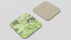 Coaster 3D model