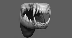 Dog Mouth ZBrush Sculpt 3D model