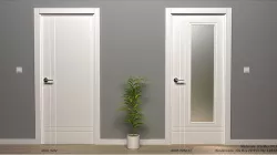 Doors Mod 9202 and Mod 9202-1V 3D model