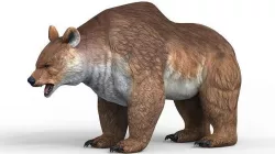 Fantasy Bear With PBR Textures Low-poly 3D model