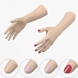 Female Hands Gesture 01 Base Mesh Low-poly 3D model