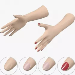 Female Hands Gesture 02 Base Mesh 3D model