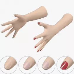 Female Hands Gesture 03 Base Mesh 3D model