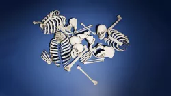 Game Ready Skulls and Bones Pack Low-poly 3D model