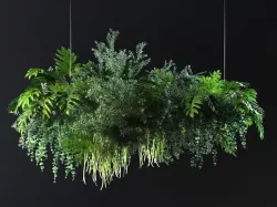 Hanging Plants 02 3D model
