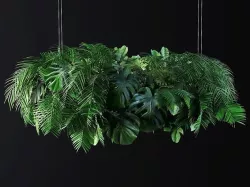 Hanging Plants 03 3D model