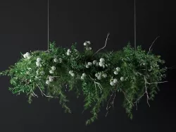 Hanging Plants 3D model