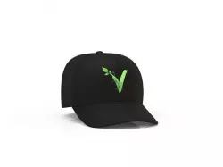 Hat 3D model mesh texture 3D model