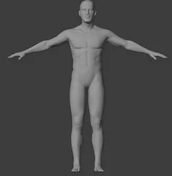 Human Figure Fully Rigged 3D model