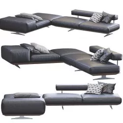Leather Sofa Wing By Flexform 3D model