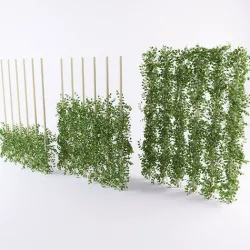 Leef Green Columb leaf landscaping exterior  3D model