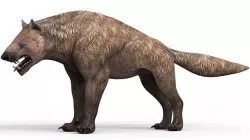 Monster Hyena With PBR Textures Low-poly 3D model