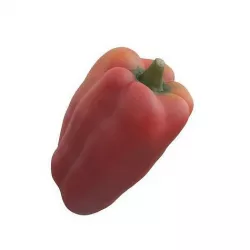 Photorealistic 3D Scanned Ball Pepper Low-poly 3D model