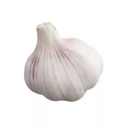 Photorealistic 3D Scanned Garlic Low-poly 3D model