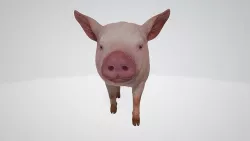 Pig 3d Model Low-poly 3D model
