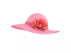 Pink Flower Hat 3D model