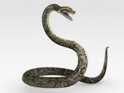 python 3d modeling | Page 1 | STLFinder