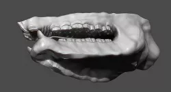 Rhino Mouth ZBrush Sculpt 3D model