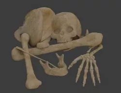 Small Bone Pile 3D model