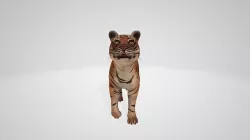 Tiger 3D model