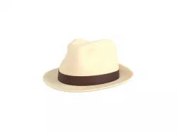 White Fedora Hat 3D model