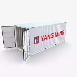 20ft Shipping Container Yang Ming 3D model