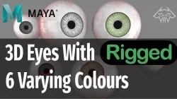 3D eyes with 6 varing eye colours- Rigged 3D model
