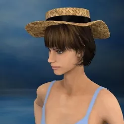 3d hat  3D model