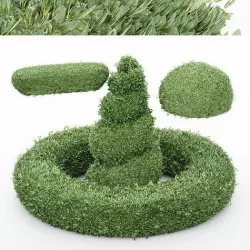 4diffrent bush Burford Holly Circle Gumdrop Spiral 3D model