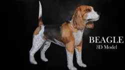 Beagle Dog Low-poly 3D model