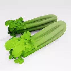 Celery 3D model