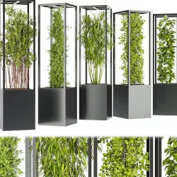 Collection plant vol 237 3D model