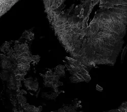 Denmark High resolution 7k direct map Texture