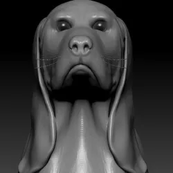 Dog beagle Low-poly 3D model