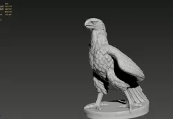 Eagle 3D model