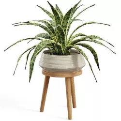 Everett Planter And Stand 3D model