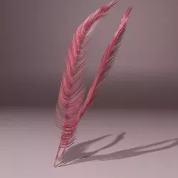 Feather 3D model