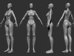 Female Body Basemesh 3D model
