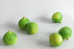 Fig 007 3D model