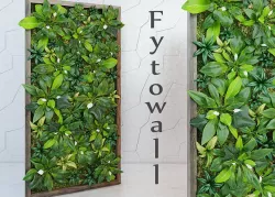 Fitowall Decorating 3D model