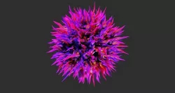 Fluffy ball 3D model