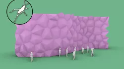 Folded Facade in Grasshopper Low-poly 3D model