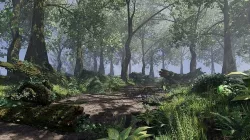 Forest Scene 3D model