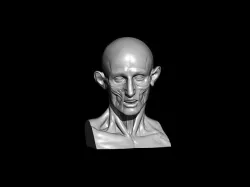 Houdon Ecorche Head 3D model